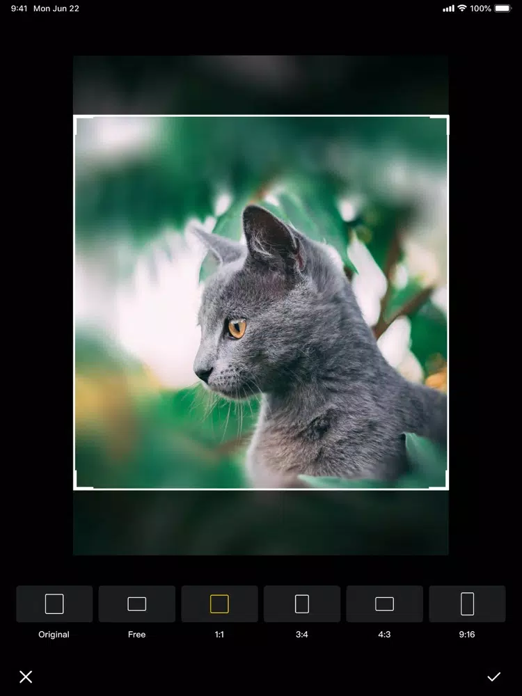 Blur background App . iPad  Screenshots