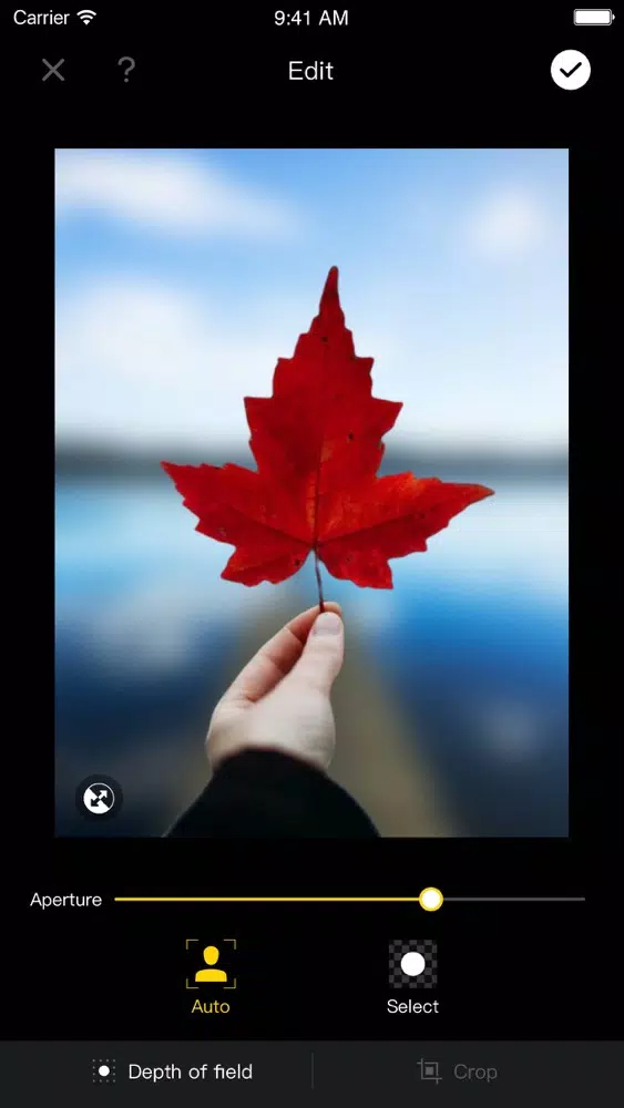 Blur background App . Screenshots