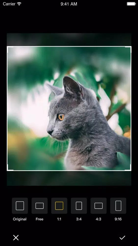 Blur background App . Screenshots