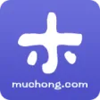 小木虫 小木虫