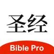 BiblePro 主內聖經