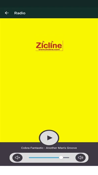 Zicline Radio Screenshots