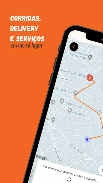 Zig para Parceiros Screenshots