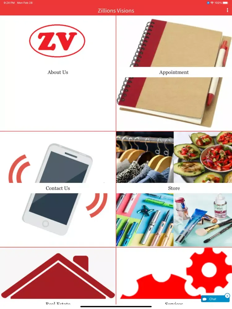Tangkapan layar Zillions Visions iPad 