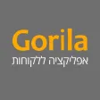 גורילה הובלות - ניהול עסק גורילה הובלות - ניהול עסק