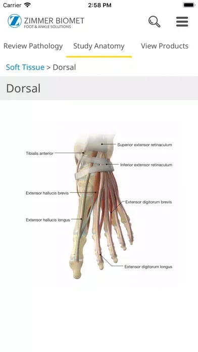Foot & Ankle - Zimmer Biomet Screenshots