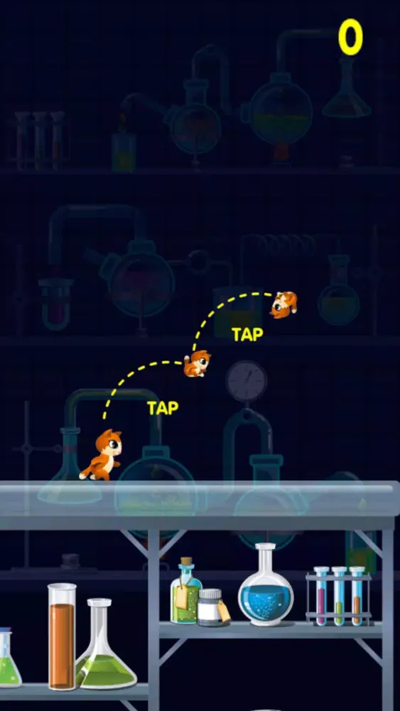 صور Kitty Cat Jump City - Don’t Get Boxed In Trying To Find Food