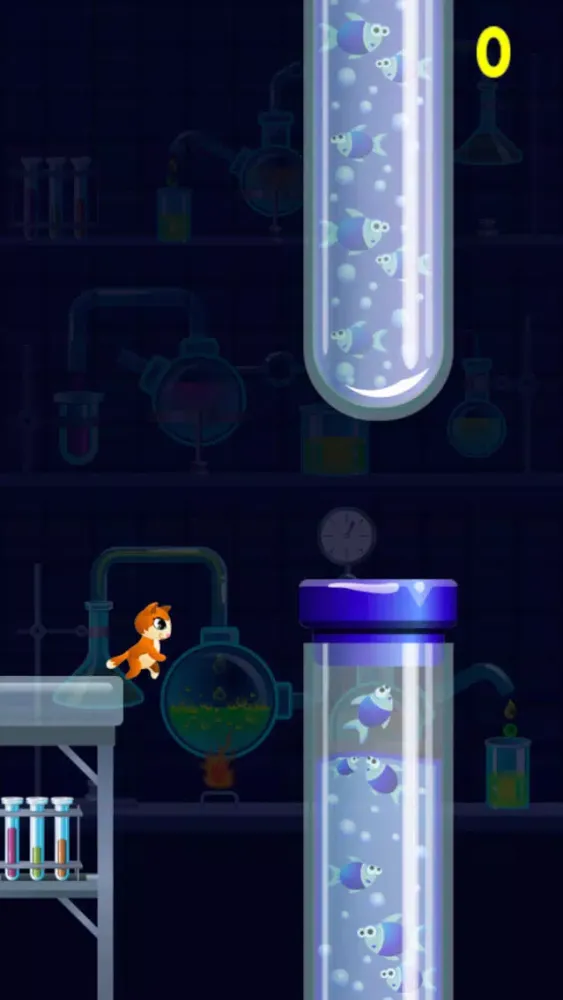 صور Kitty Cat Jump City - Don’t Get Boxed In Trying To Find Food