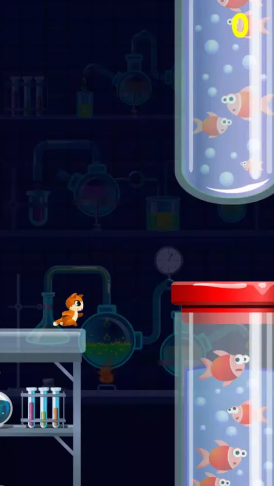 صور Kitty Cat Jump City - Don’t Get Boxed In Trying To Find Food