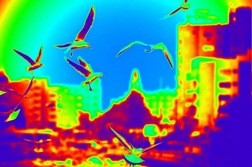 Thermal scanner Screenshots