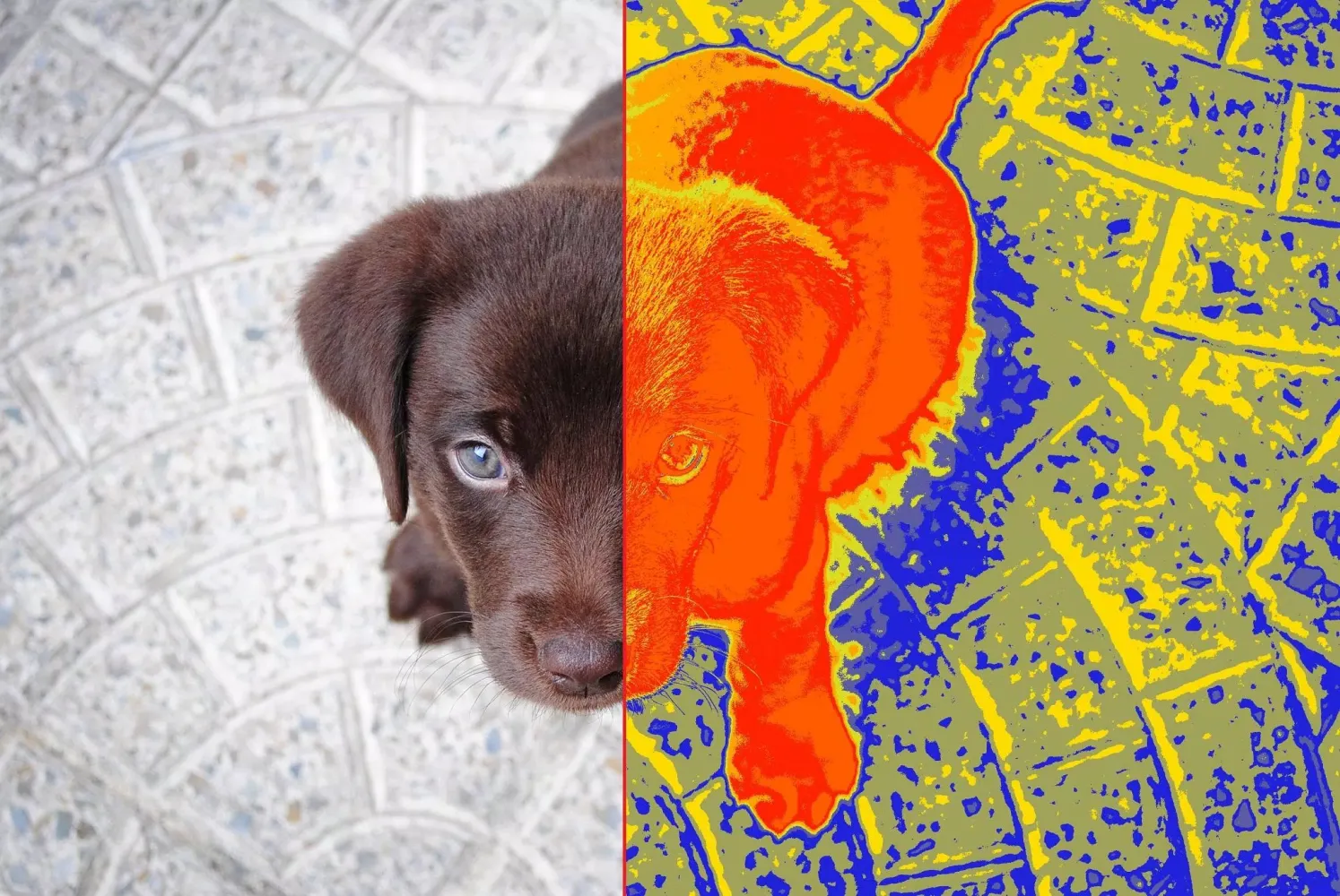 Thermal scanner Screenshots
