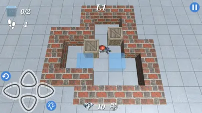 Box Puzzle Deluxe应用截图