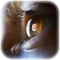 Eye Photo Frame