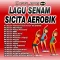 Lagu Senam Aerobik Offline Mp3