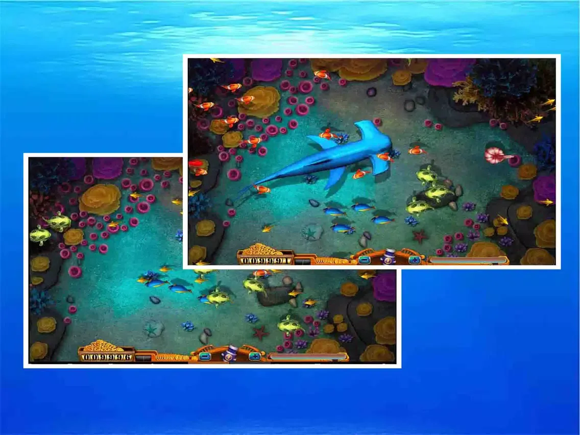 تصاویر catch fish joy iPad 