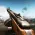 World War 2: Survival War Game