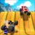 Offroad 4x4 Monster Truck Racing