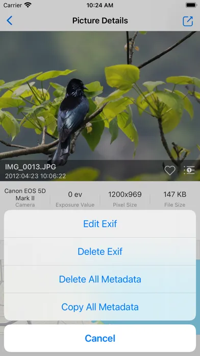 تصاویر iPictureMaster