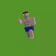 Master Craft Run & Collect 3D