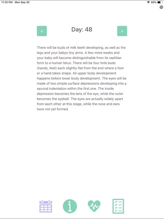 تصاویر Mamabeibi iPad 
