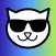 Cat Beats