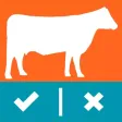 Heifer Ranking Challenge
