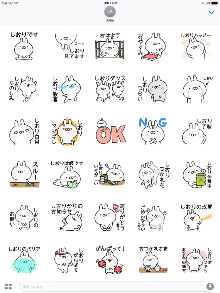 تصاویر SHIORI Stickers iPad 