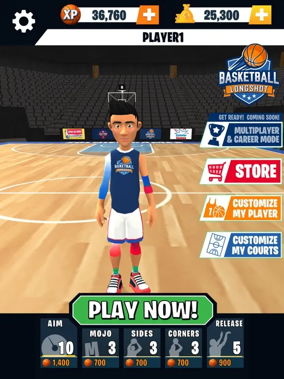 تصاویر Basketball Longshot iPad 