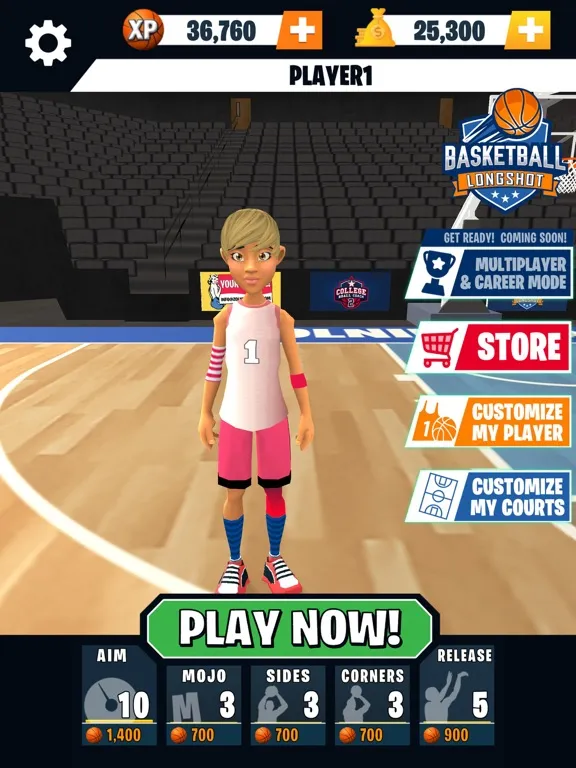 تصاویر Basketball Longshot iPad 