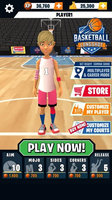 تصاویر Basketball Longshot
