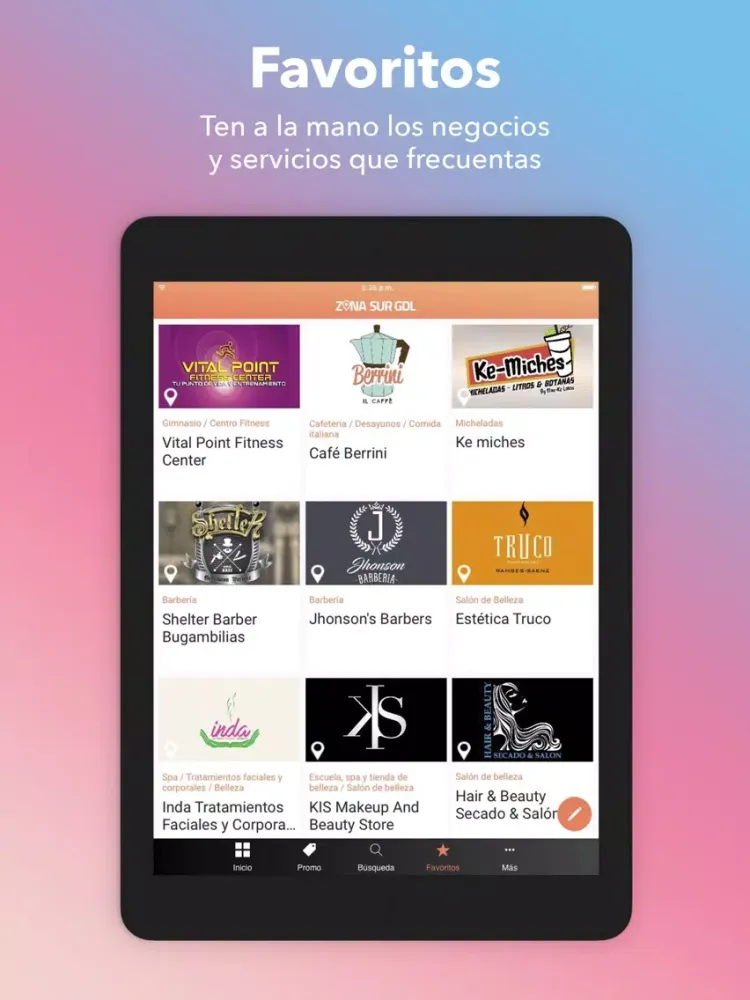 Ảnh chụp màn hình của Zona Sur GDL iPad 