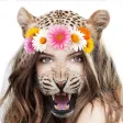Animal Face Changer Camera Stickers