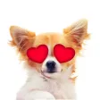 ChiMoji
