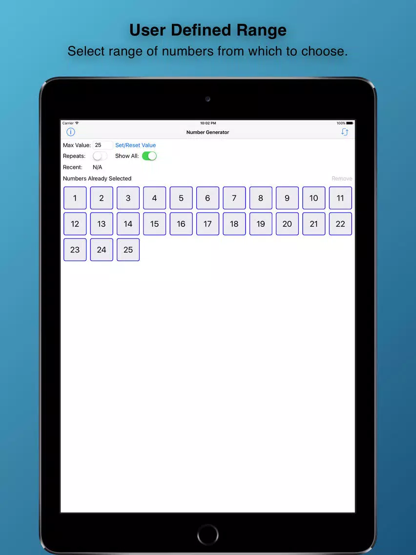 RandomGen iPad 应用截图