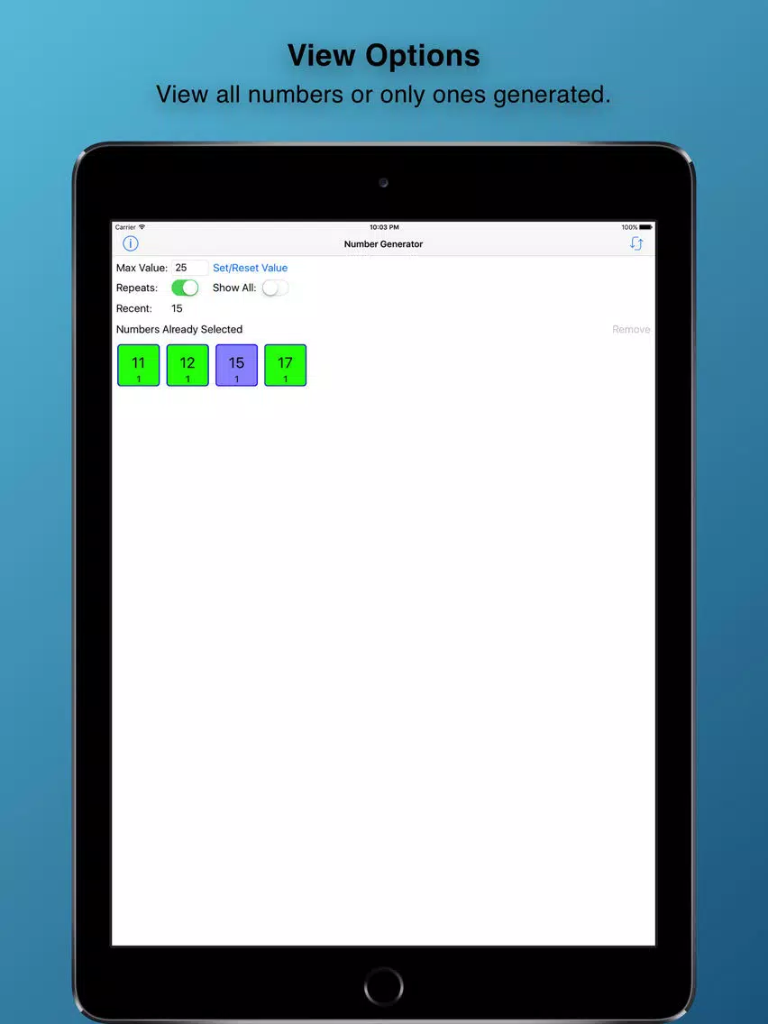 RandomGen iPad 应用截图