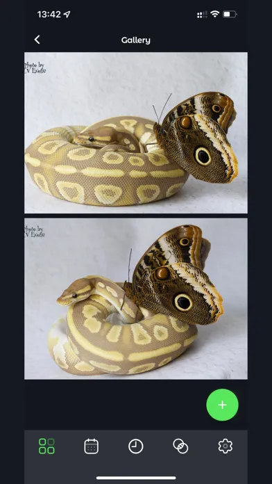 ภาพหน้าจอของ Reptile Rocket: pet tracker