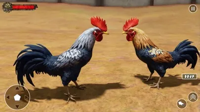 Wild Rooster Chicken Simulator سکرین شاٹس