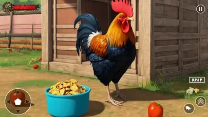 Wild Rooster Chicken Simulator سکرین شاٹس
