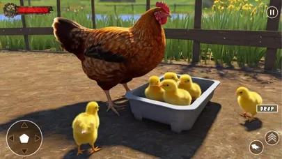 Wild Rooster Chicken Simulator سکرین شاٹس