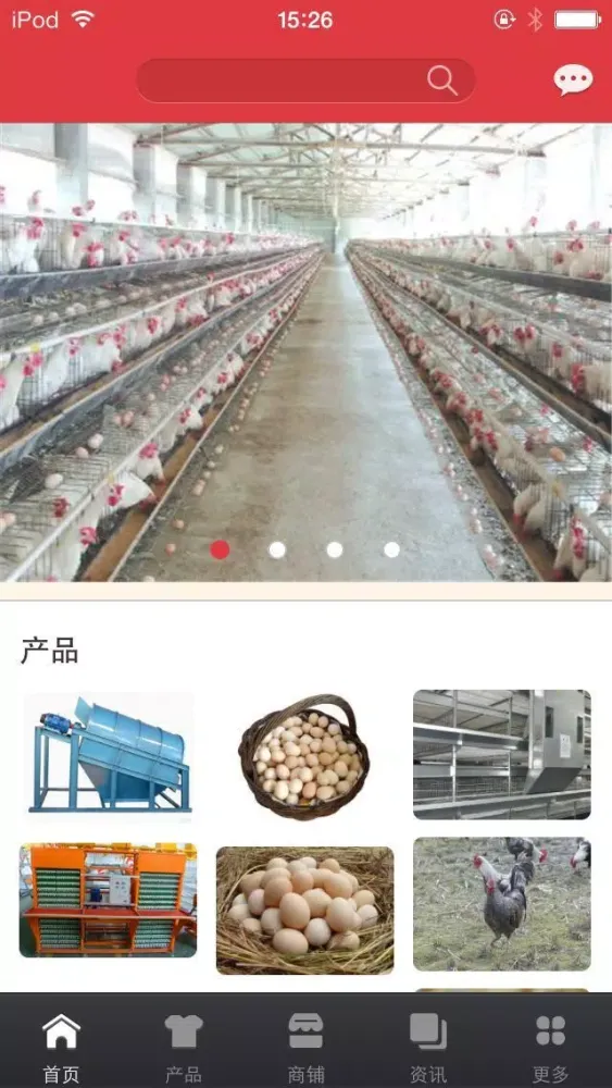 تصاویر 中国蛋鸡养殖平台