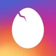 Insta Egg