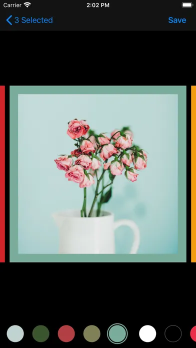 White Border سکرین شاٹس