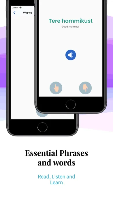 Ảnh chụp màn hình của Learn Estonian Language Easily