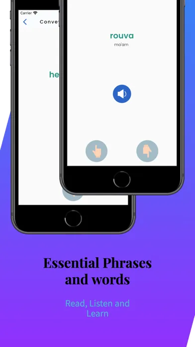 Capturas de tela do Learn Finnish Language Easily