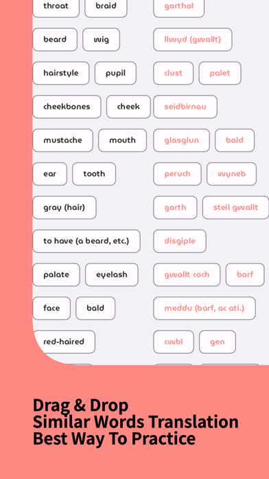Скриншоты Learn Welsh Phrases & Words