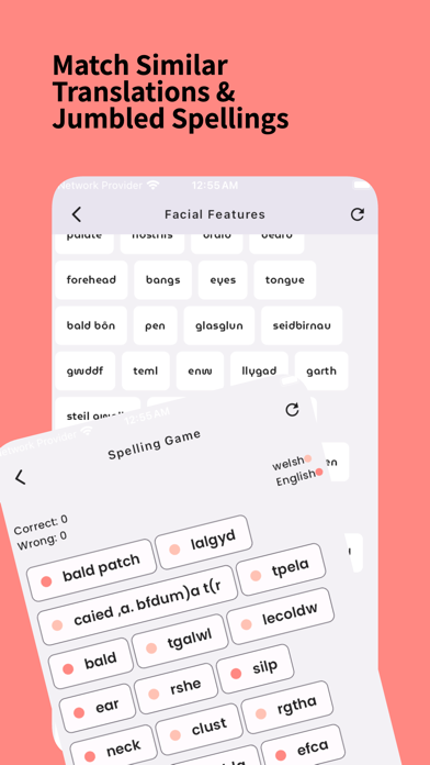 Скриншоты Learn Welsh Phrases & Words