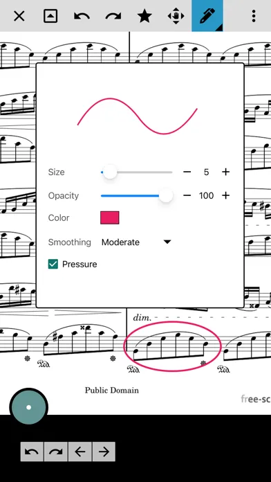 Ảnh chụp màn hình của MobileSheets for iPad
