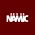 NAMIC