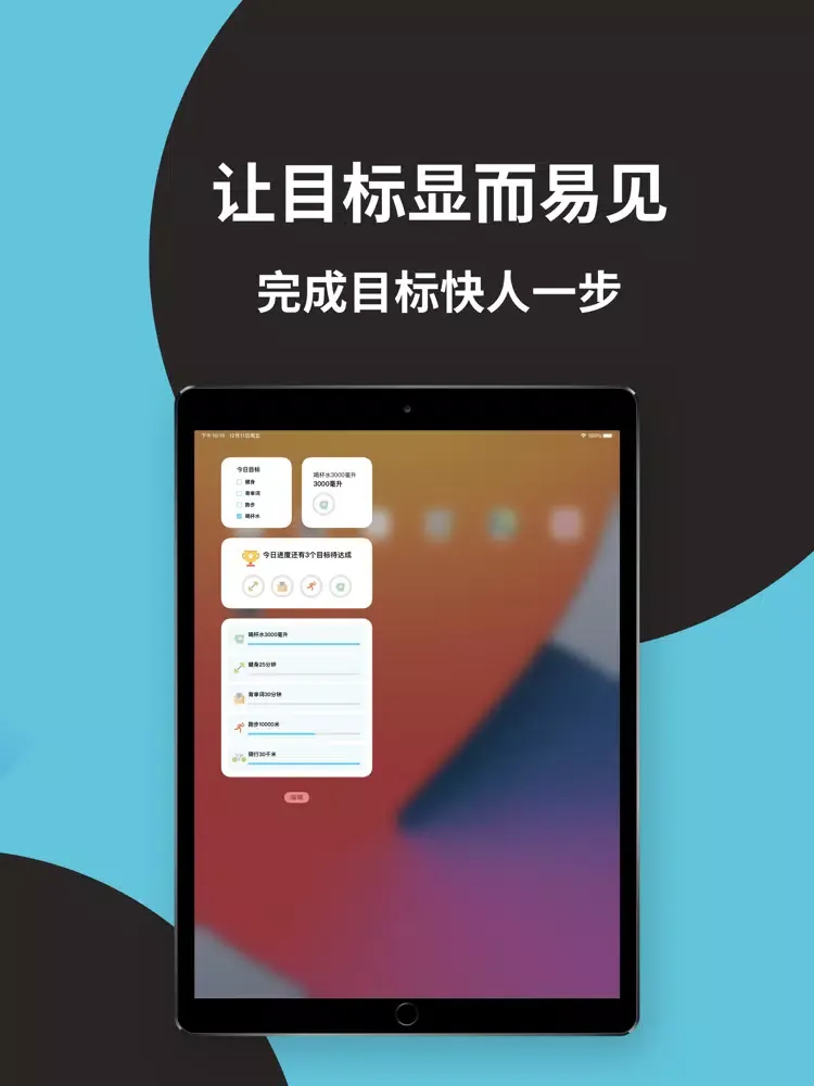 小目标-学习打卡与时间计划管理 iPad 应用截图