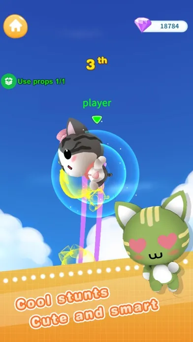 صور Pet Parkour - cat race